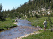 click for larger image of Yosemite fishing spot